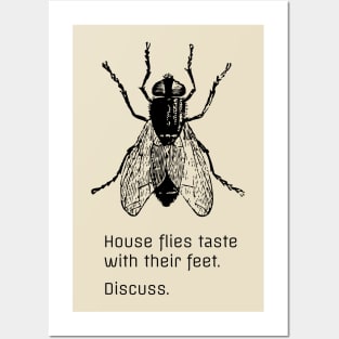 Flies taste with their feet. Discuss. Posters and Art